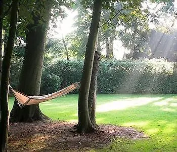B&B 'T Wit Huys Brugge Bed & Breakfast